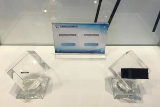 大唐微電子與晶科微電子攜手亮相第二屆生物識別博覽會，展現科技創新實力